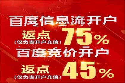 SEM百度竞价策略优化案例分析